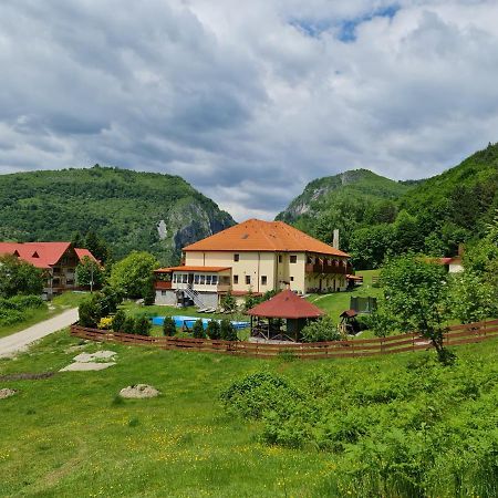 Pensiunea Castania - Pensiune cu piscina la munte Polovragi Exterior foto