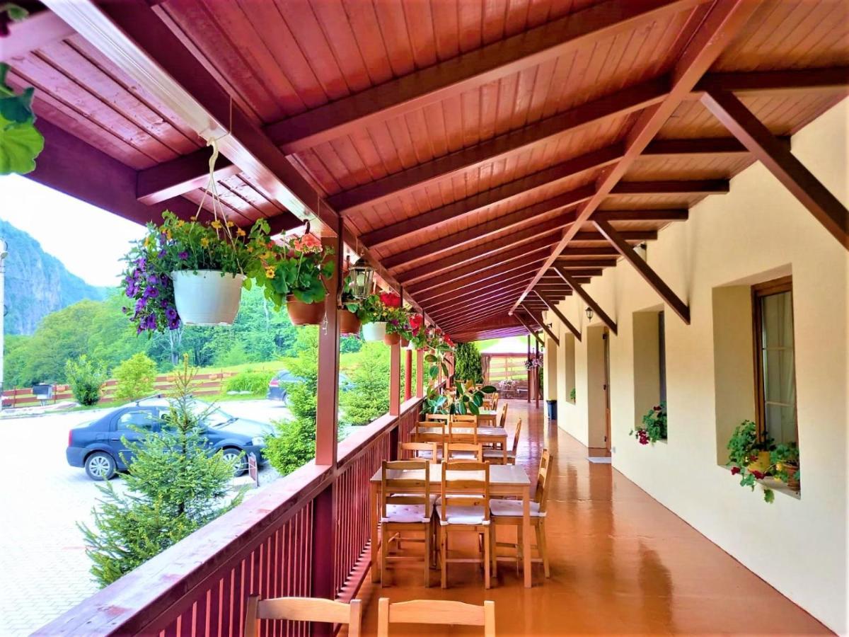 Pensiunea Castania - Pensiune cu piscina la munte Polovragi Exterior foto