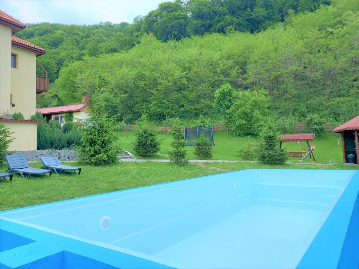 Pensiunea Castania - Pensiune cu piscina la munte Polovragi Exterior foto