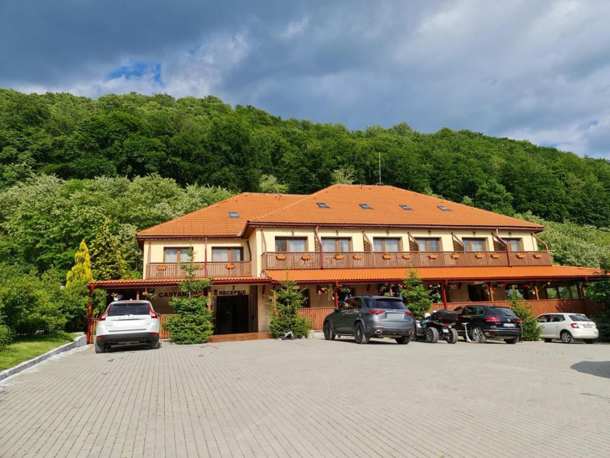 Pensiunea Castania - Pensiune cu piscina la munte Polovragi Exterior foto