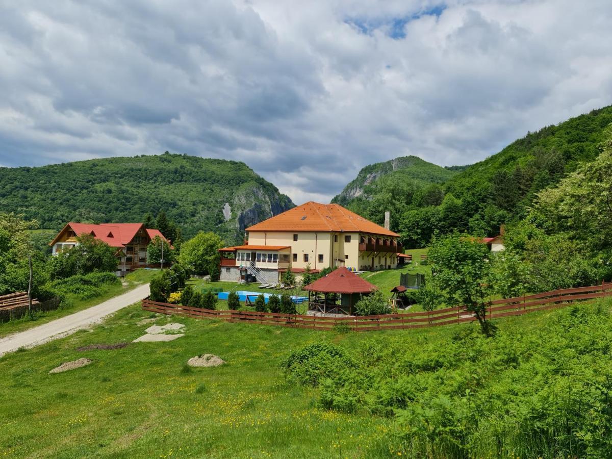 Pensiunea Castania - Pensiune cu piscina la munte Polovragi Exterior foto