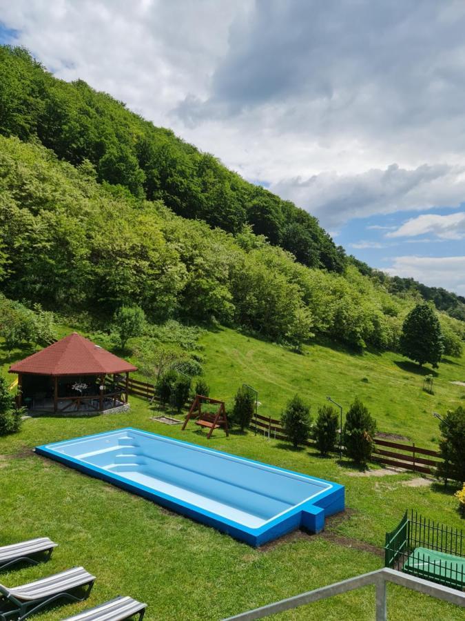 Pensiunea Castania - Pensiune cu piscina la munte Polovragi Exterior foto