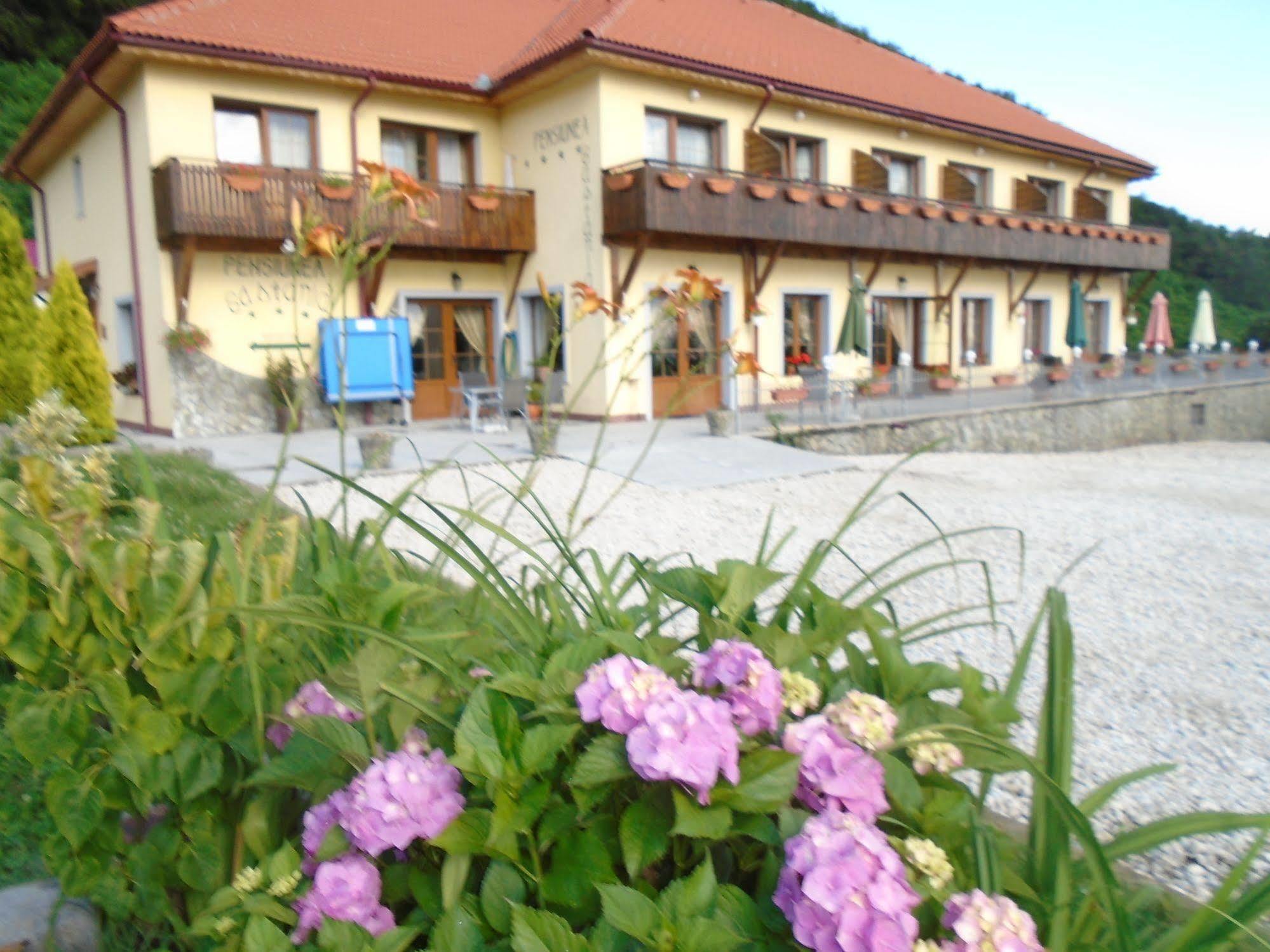 Pensiunea Castania - Pensiune cu piscina la munte Polovragi Exterior foto