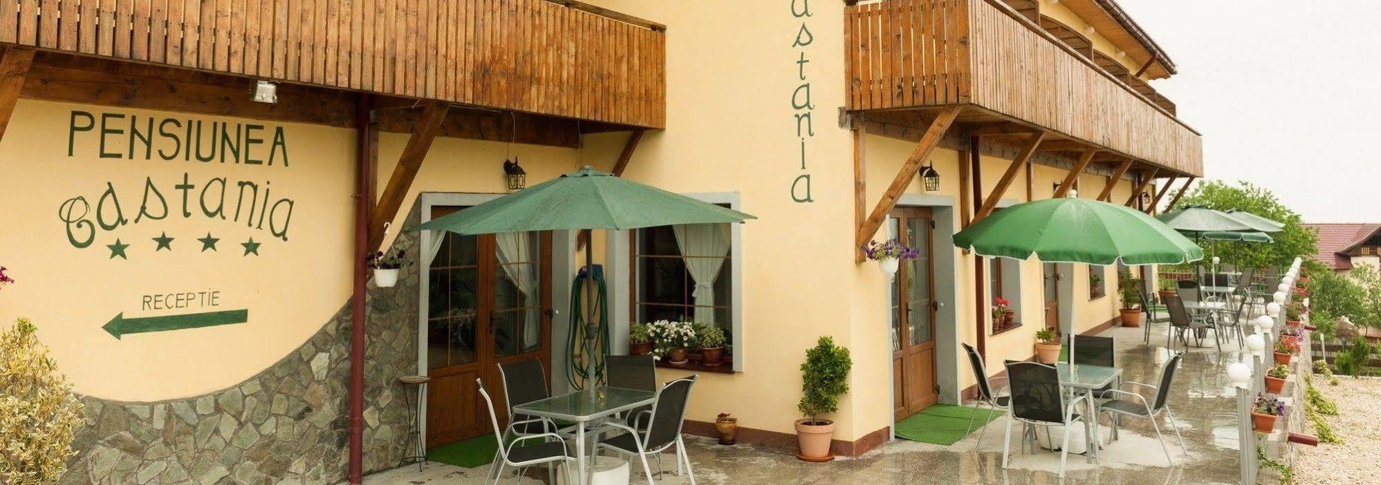 Pensiunea Castania - Pensiune cu piscina la munte Polovragi Exterior foto