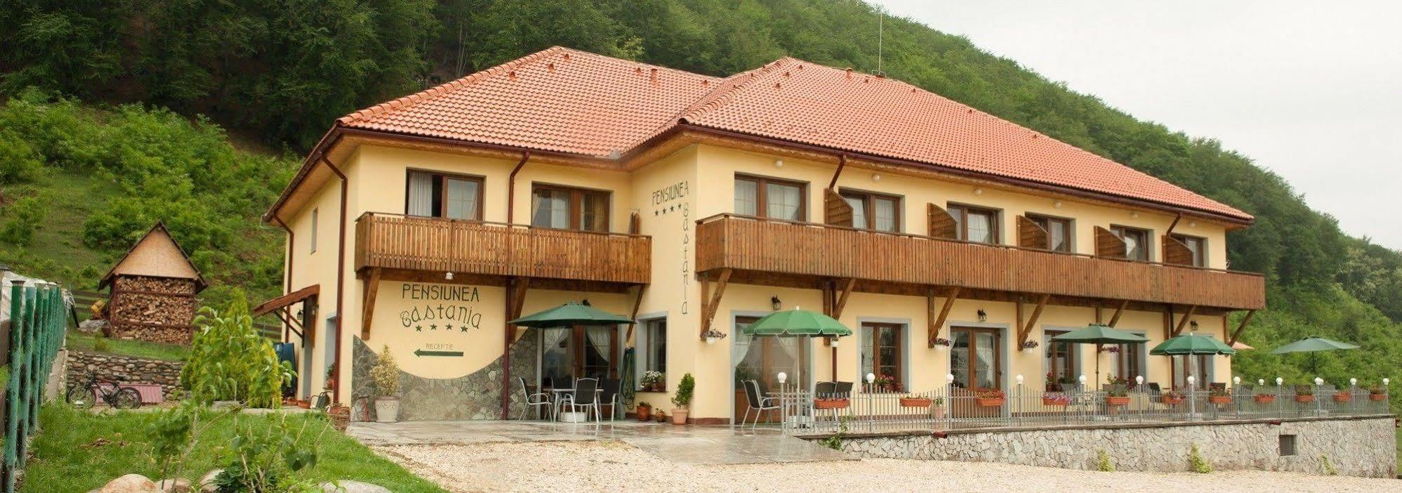 Pensiunea Castania - Pensiune cu piscina la munte Polovragi Exterior foto