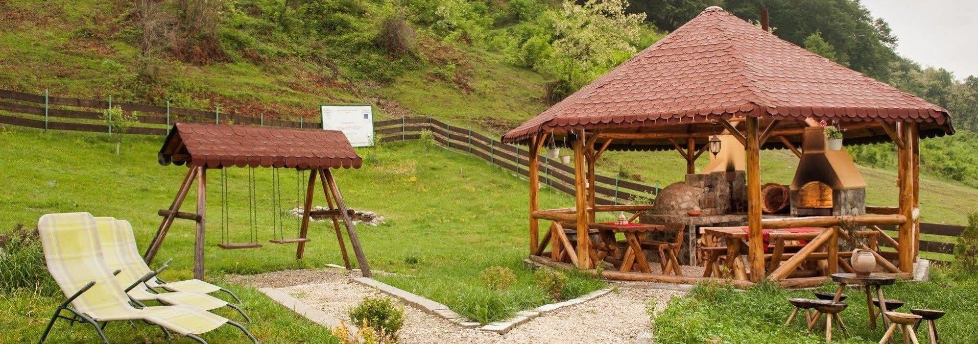Pensiunea Castania - Pensiune cu piscina la munte Polovragi Exterior foto