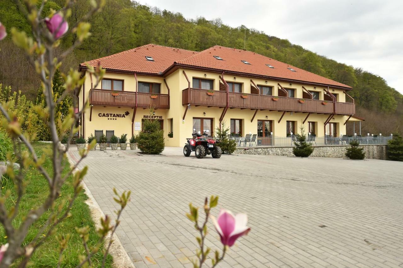 Pensiunea Castania - Pensiune cu piscina la munte Polovragi Exterior foto